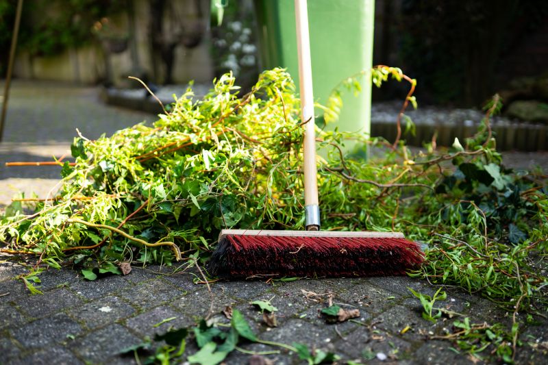 Landscaping Cleanup Service in Ventura County, CA