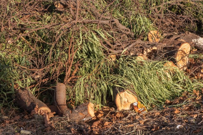 Tree Branch Disposal in Ventura County, CA