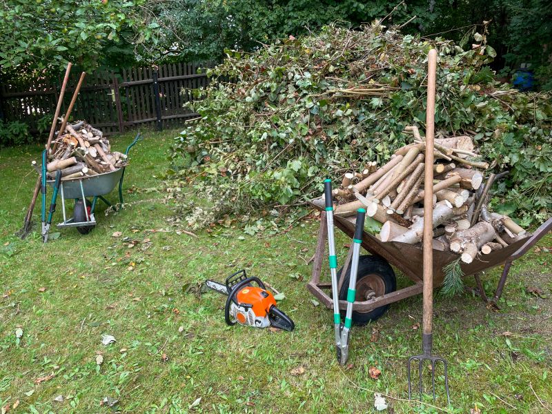 Wood Pile Removal in Ventura County, CA