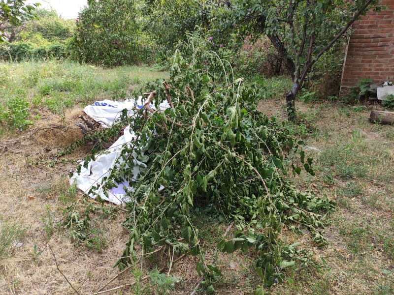 Yard Debris Removal Service